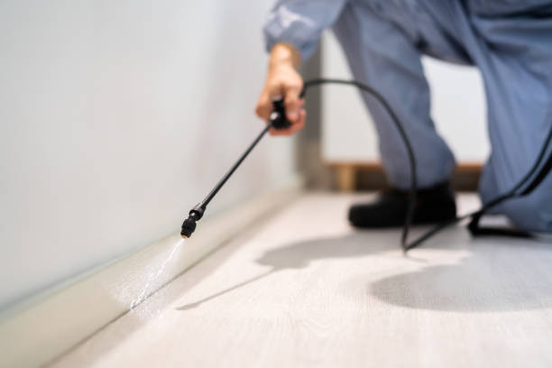 Licensed Rodent Control service in Belle Plaine, IA - Nex Pest Control